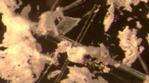 Dr. Corina Ciocan’s magnified sample of fiberglass pollutants shows a combination of resin and glass. (Photo courtesy of Dr. Ciocan)