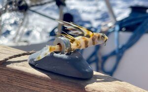 Mairin's flying fish mascot. (Photo/ Leszek Wolnik)