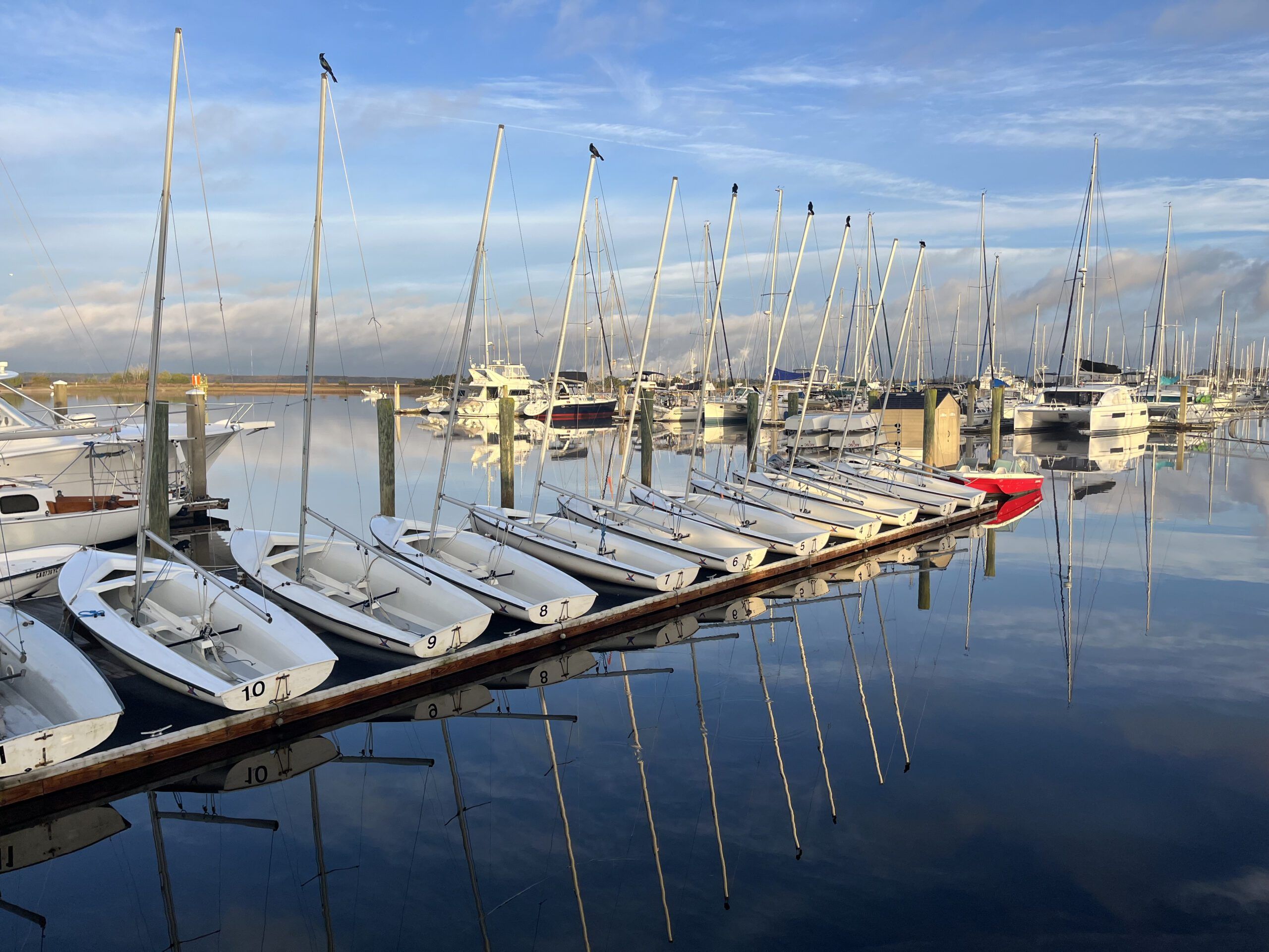 Brunswick Landing Marina in Georgia has many sizes of boats on their docks. (Photo/ Alex Jasper)