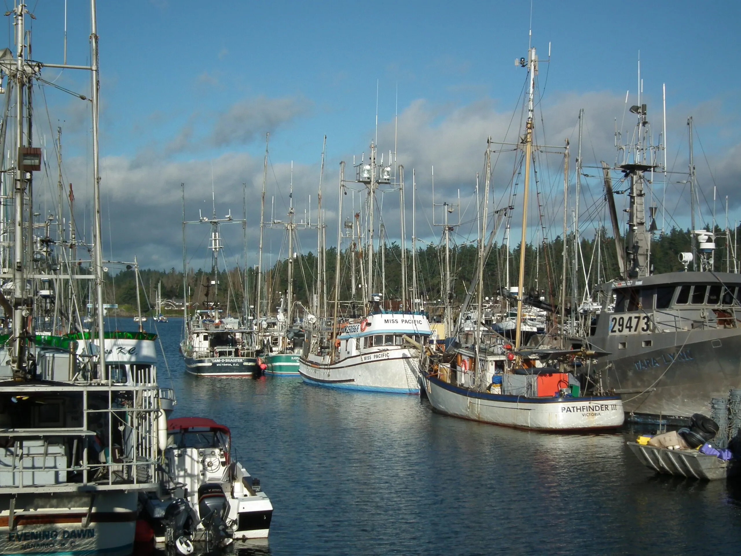 Fishing boats in Sidney Harbour. If you are crossing the US/Canada border, make sure to research the protocol. Here is the link to the border services page:https://www.cbsa-asfc.gc.ca/travel-voyage/pb-pp-eng.html. Procedure for US boats and crew is straight forward as there are no visa requirements. Check-in can be done via telephone once in Canadian waters. Note: It is not advisable to bring firearms. If you need to, for example for boats traveling to Alaska or those who are going hunting in Canada, check with border services to ensure the weapons can be brought in legally. There are very different rules in Canada compared to the US. Note that hand guns are restricted firearms and require a permit from the Canadian police, not the border agency. This permit should be obtained BEFORE sailing. (Photo/ Roland Stockham)