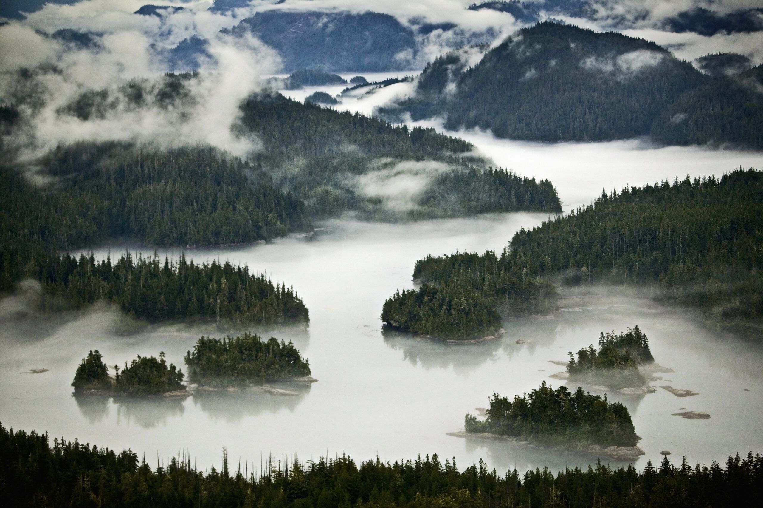 Broughton Archipelago, British Columbia, Canada. (Photo/ Mint Images - Art Wolfe/ Getty Images)