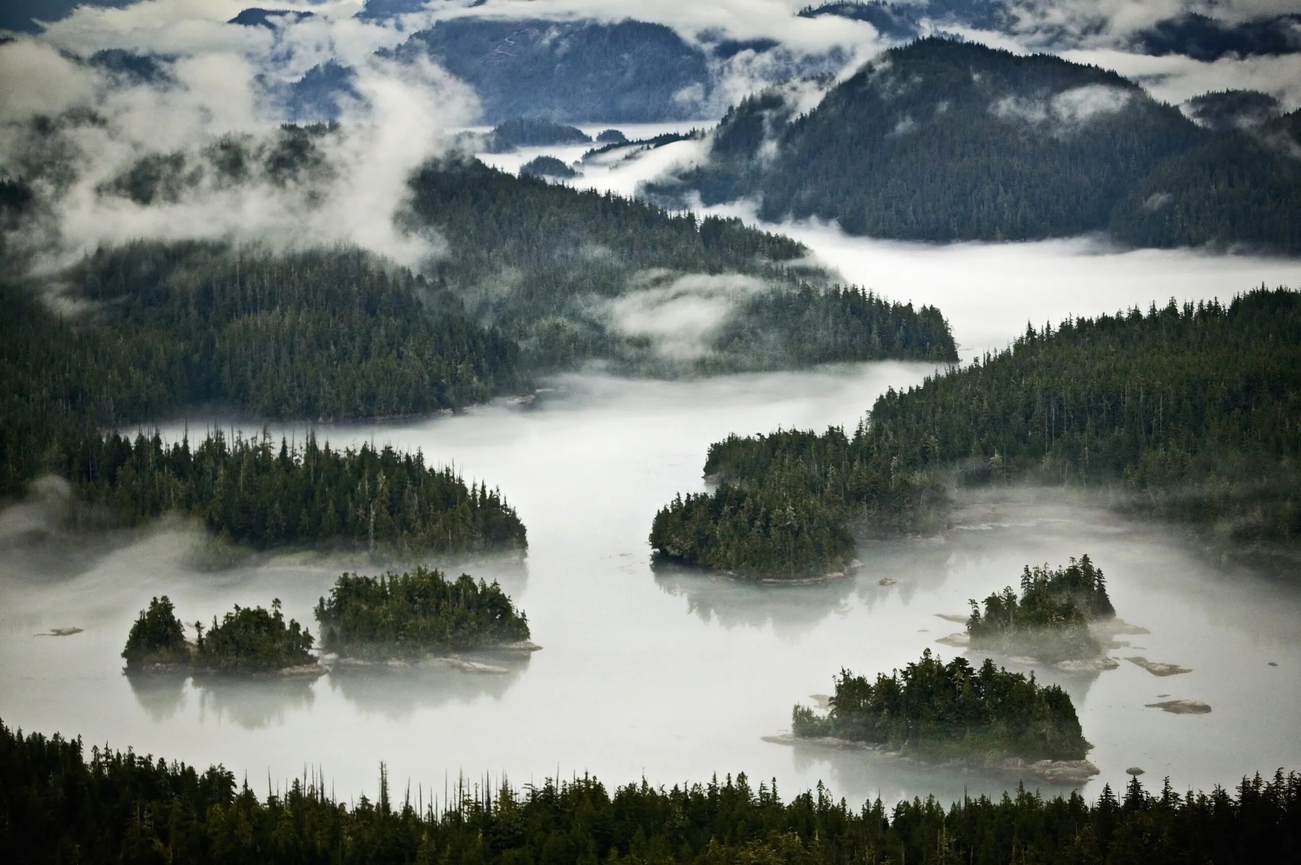 Broughton Archipelago, British Columbia, Canada. (Photo/ Mint Images - Art Wolfe/ Getty Images)