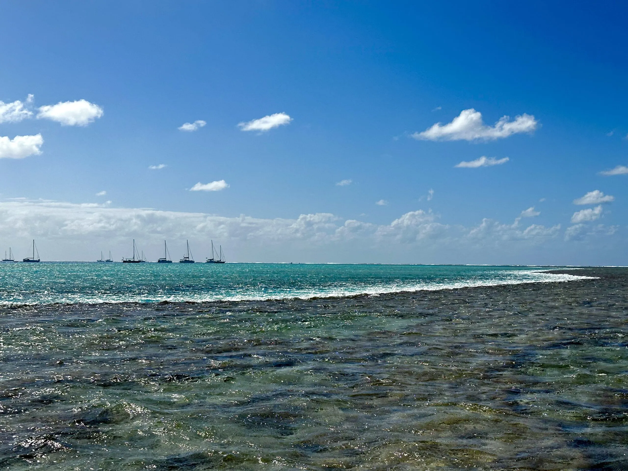 Rally boats anchored at Minerva Reef, which is popular stop for the crossing between New Zealand and the Fiji or Tonga. (Photo/ Viki Moore)
