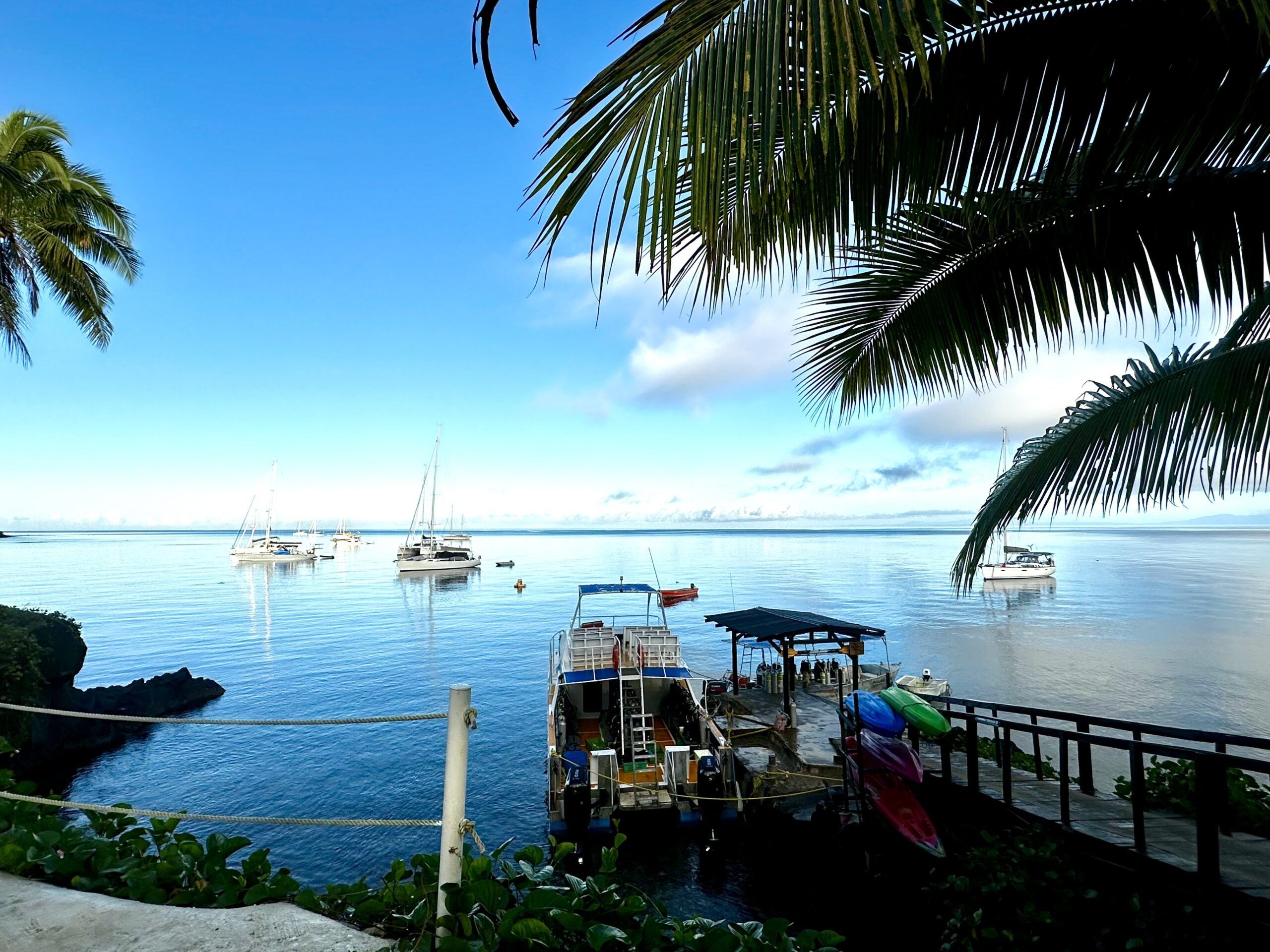 Rally boats anchored at Paradise Resort in Taveuni Fiji. Taveuni is a great place to reprovision because the island has fertile soil, excellent small farms and farmers markets. Plus you are right across the channel from the Rainbow Reef, which offers stunning scuba diving. (Photo/ Viki Moore)