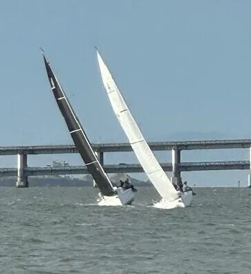 Kind of Blue on left in tight race. (Photo/ Alex Jasper)