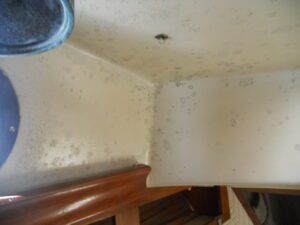 Any sign of mold will usually make the surveyor walk away. This boat in particular was covered from bow to stern. (Photo/ Ray Ville)