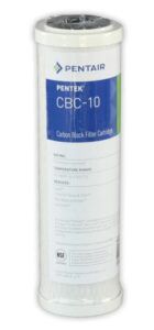 Pentek CBC-10 filter