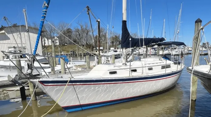 Citation34-Profile-YW