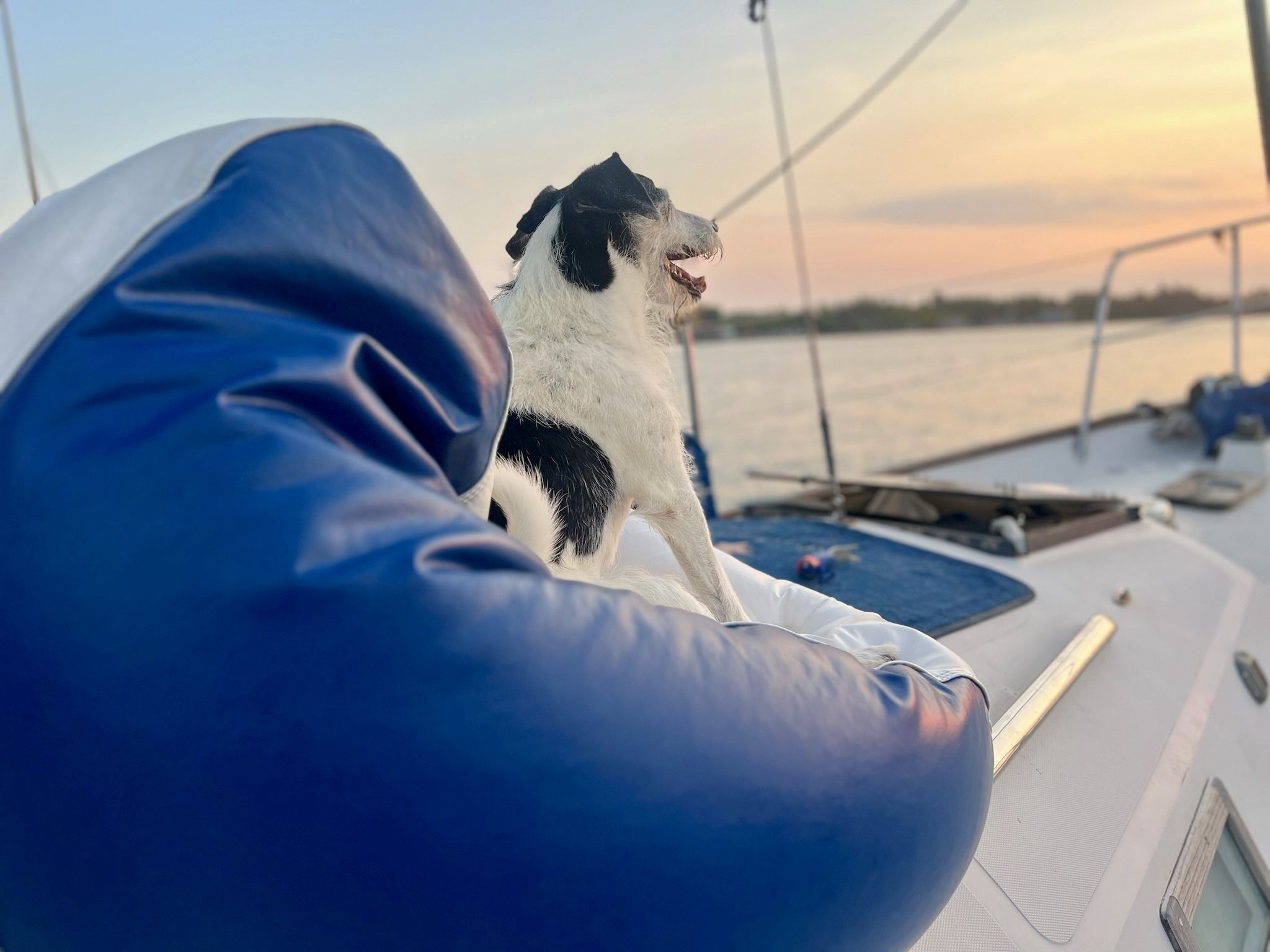 Everyone loves the beanbag chairs. (Photo/ Jaclyn Jeffrey)