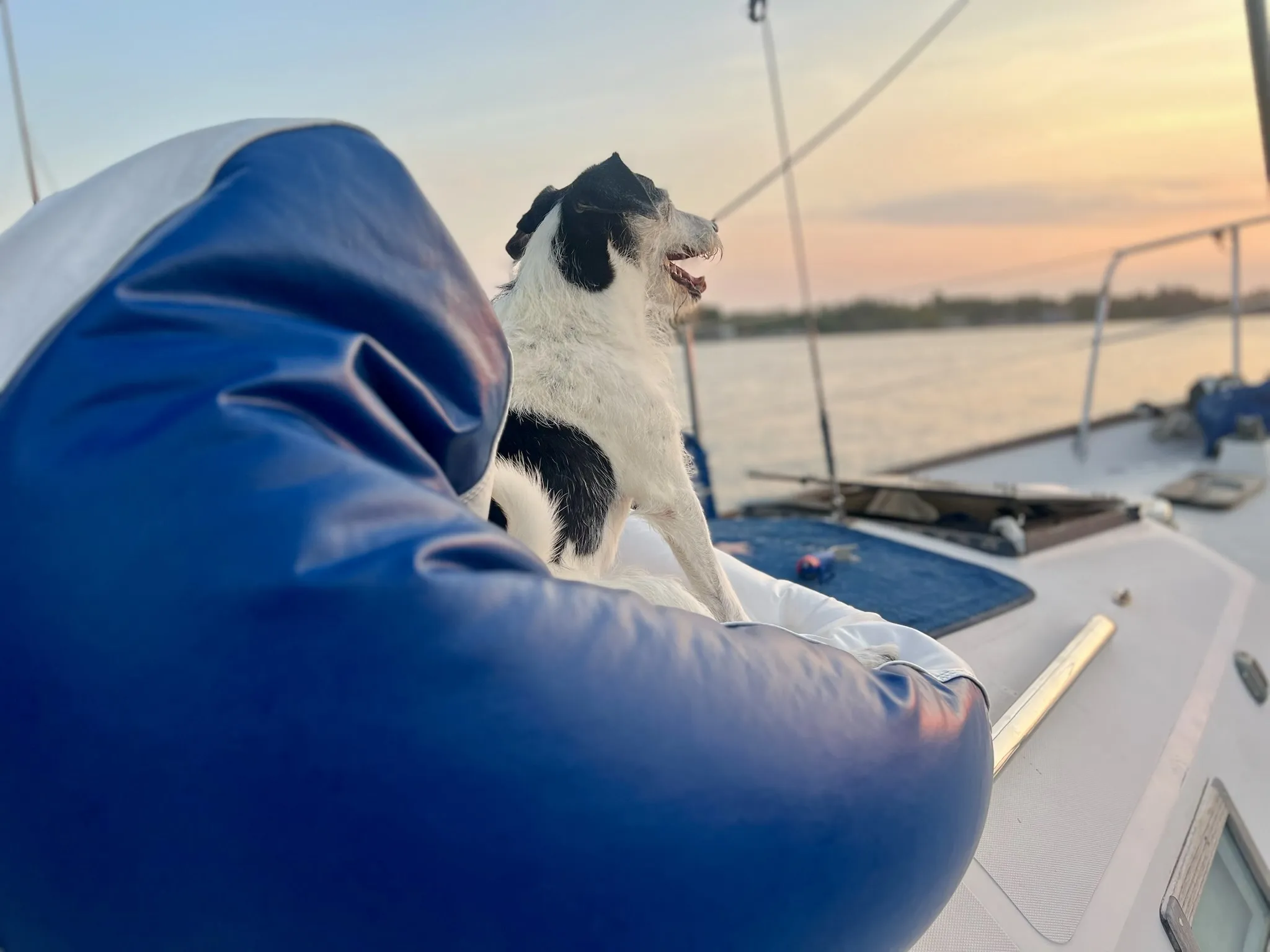 Everyone loves the beanbag chairs. (Photo/ Jaclyn Jeffrey)