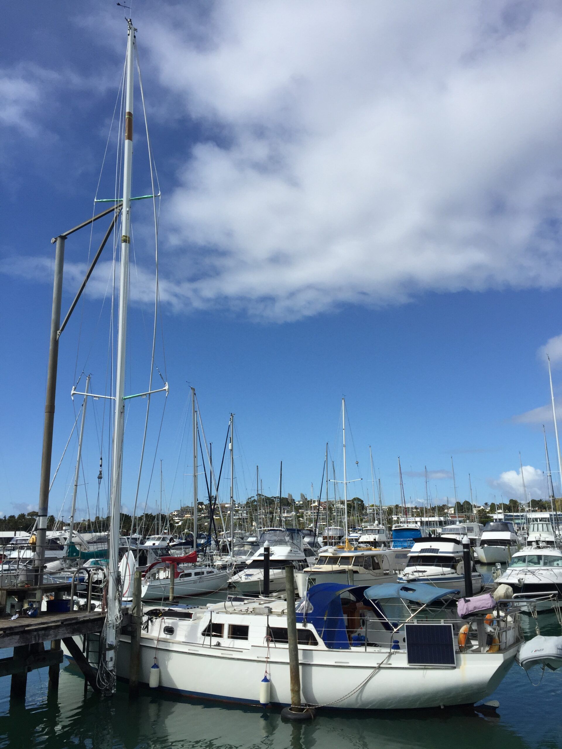 Installing the newly refurbished mast. (Photo/ Carolyn Powles)
