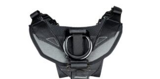 The CMC Atom Global Harness is a more comfortable, safer alternative to the traditional bosun's chair. (Image source: CMC)