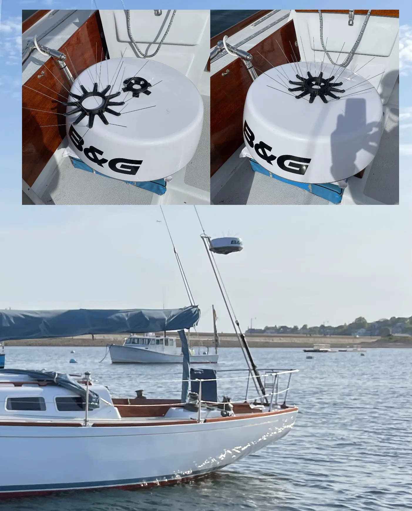 3D printed bird deterrent. (Photo/ Tom Egan)