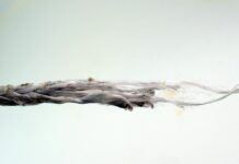 On the failed Dyneema whisker stay, the melting is more severe near the failure point. As the sheet reached a stable point more force and motion was concentrated in a smaller area. (Photo/ Drew Frye)