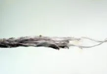 Dyneema Burn-Through By a Sheet On the failed Dyneema whisker stay, the melting is more severe near the failure point. As the sheet reached a stable point more force and motion was concentrated in a smaller area. (Photo/ Drew Frye)