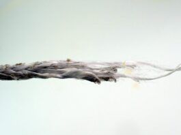 On the failed Dyneema whisker stay, the melting is more severe near the failure point. As the sheet reached a stable point more force and motion was concentrated in a smaller area. (Photo/ Drew Frye)