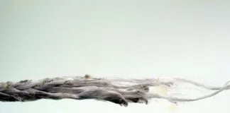 On the failed Dyneema whisker stay, the melting is more severe near the failure point. As the sheet reached a stable point more force and motion was concentrated in a smaller area. (Photo/ Drew Frye)