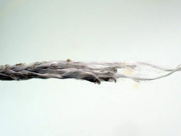 3aa. near the break the melting is more severe (1) On the failed Dyneema whisker stay, the melting is more severe near the failure point. As the sheet reached a stable point more force and motion was concentrated in a smaller area. (Photo/ Drew Frye)