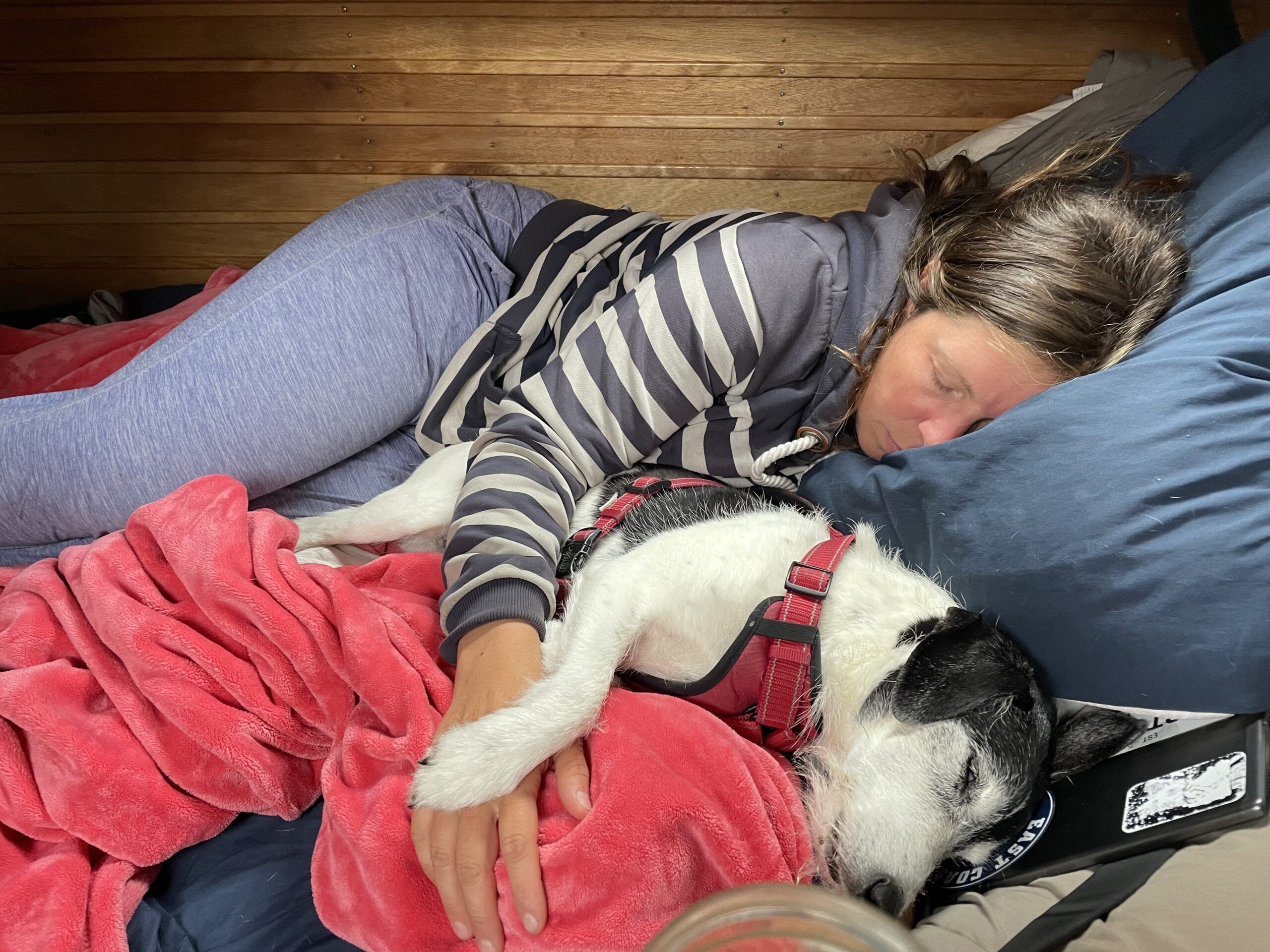Keeping the dog (and crew) comfortable on multi-day passages. Sleep comfort is key. (Photo/ Jaclyn Jeffrey)