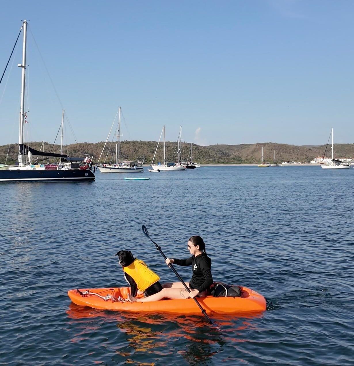 Ruffwear dog life vest in action. (Photo/ Emily Blake @thesailingbison)