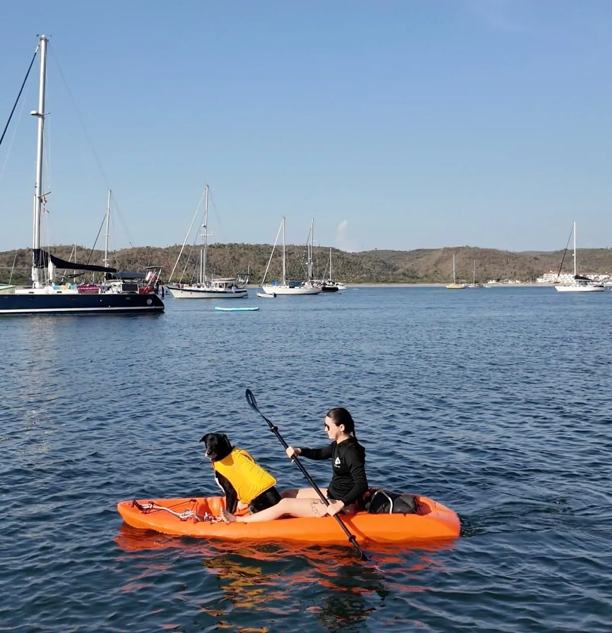 Ruffwear dog life vest in action. (Photo/ Emily Blake @thesailingbison)