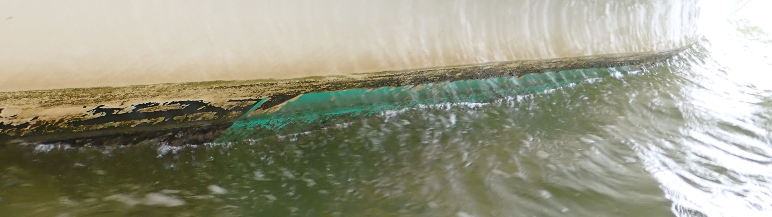 This photo is from June 2023 at about 22 months after paint application. The Krypton was looking good with no hard growth. (Photo/ Drew Frye)