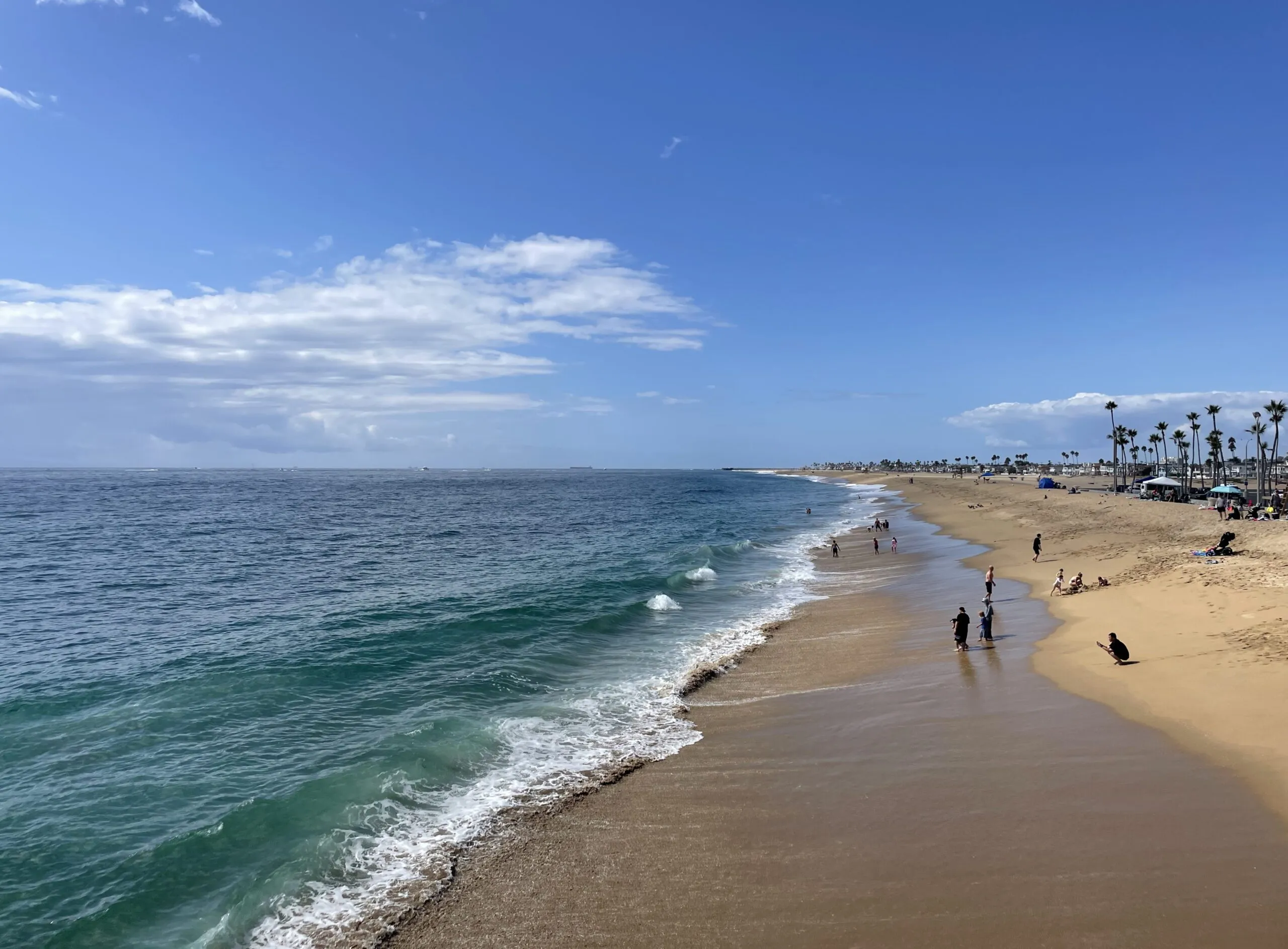 Newport Beach. (Photo/ Jaclyn Jeffrey)