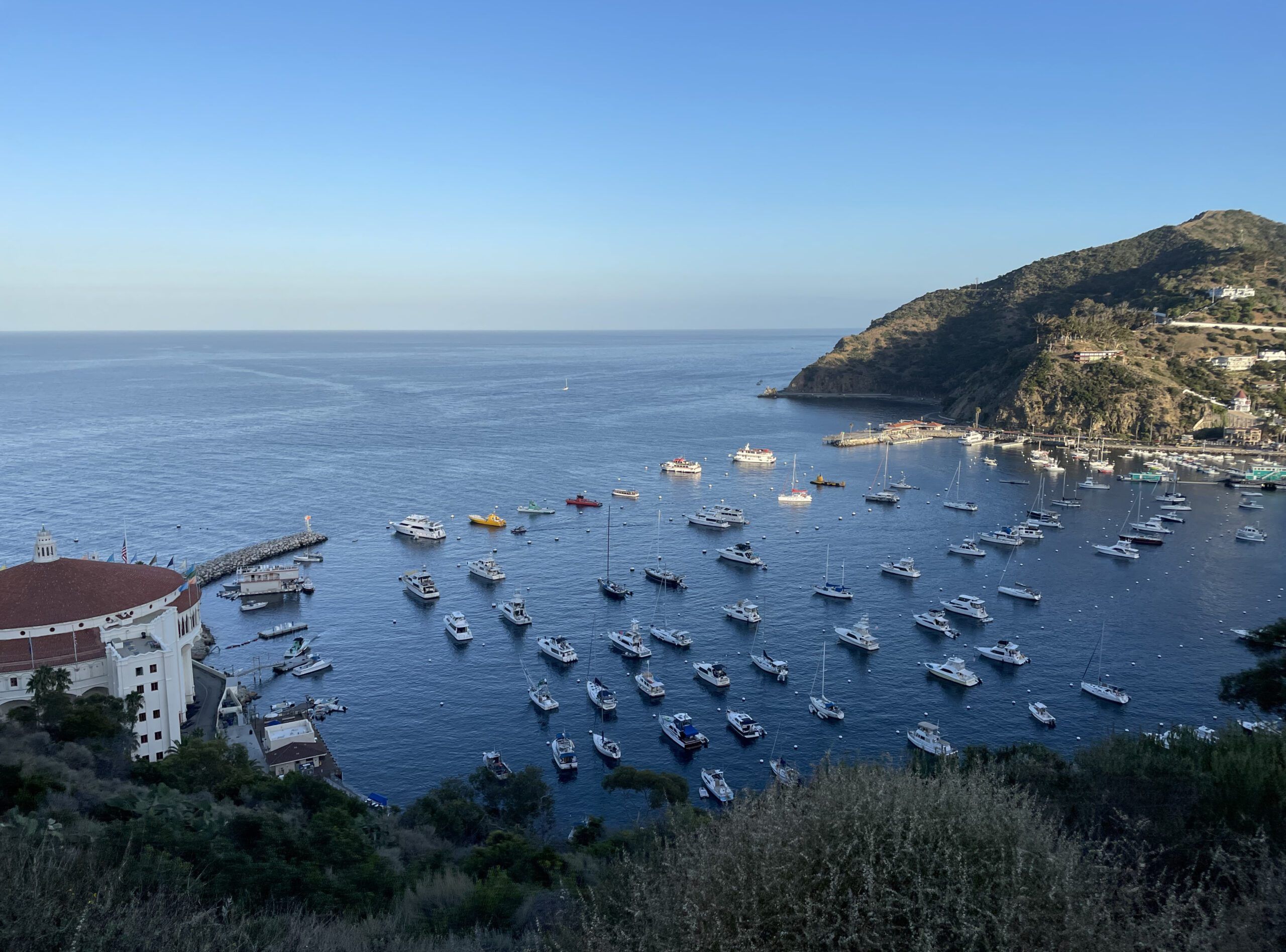 Avalon mooring field on Catalina Island. (Photo/ Jaclyn Jeffrey)