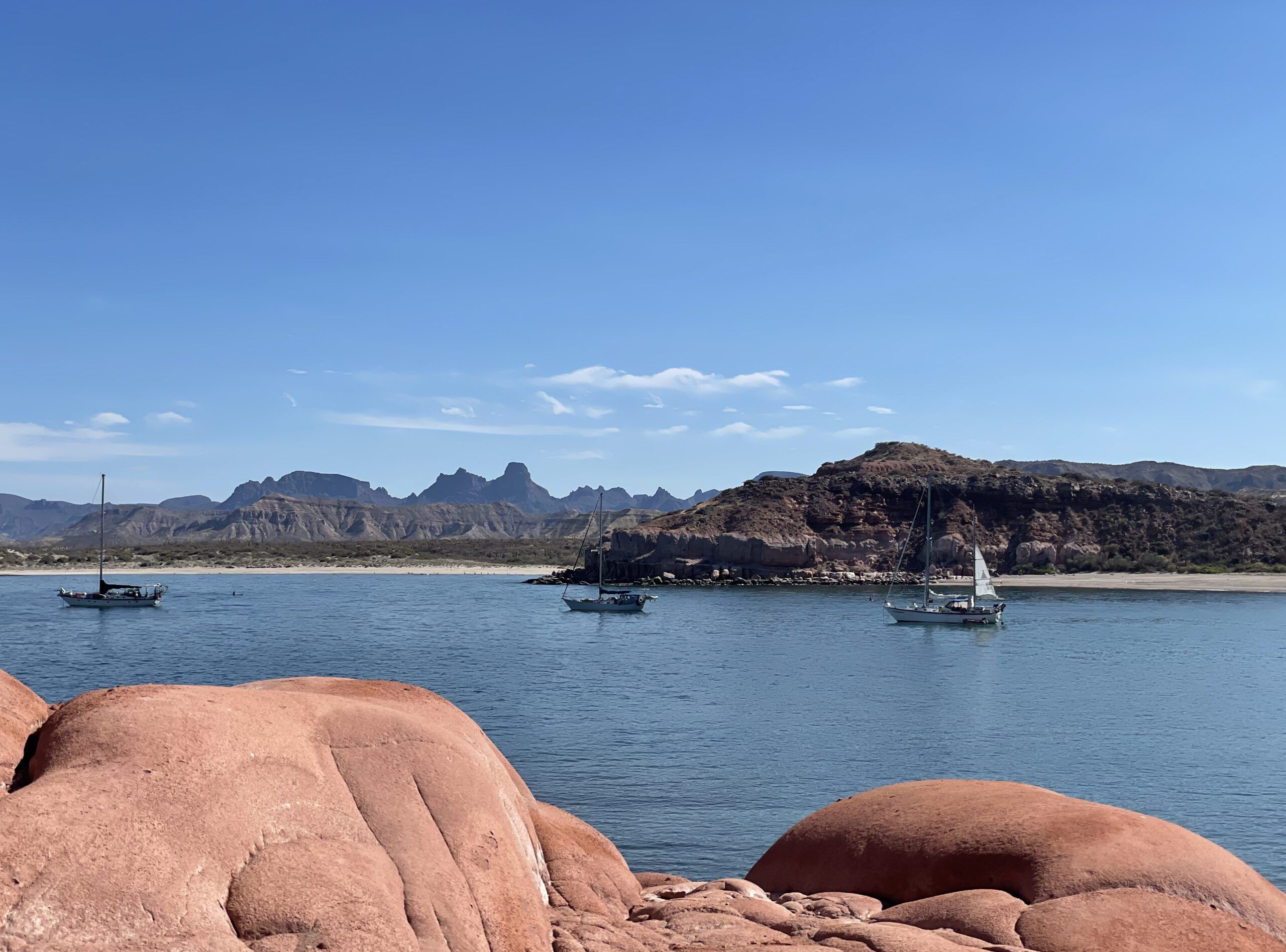 Buddy boats anchored in Los Gatos. (Photo/ Jaclyn Jeffrey)