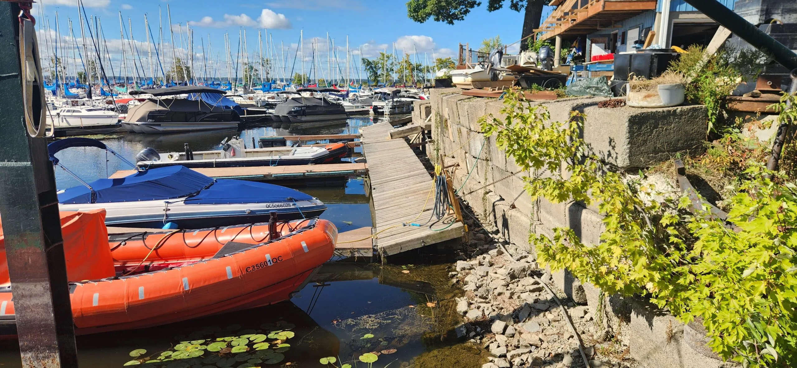 With record low water levels, clubs are scrambling to protect their installation. This club is at 4 feet below normal levels and sailors are concerned about hauling out deeper keel boats. 