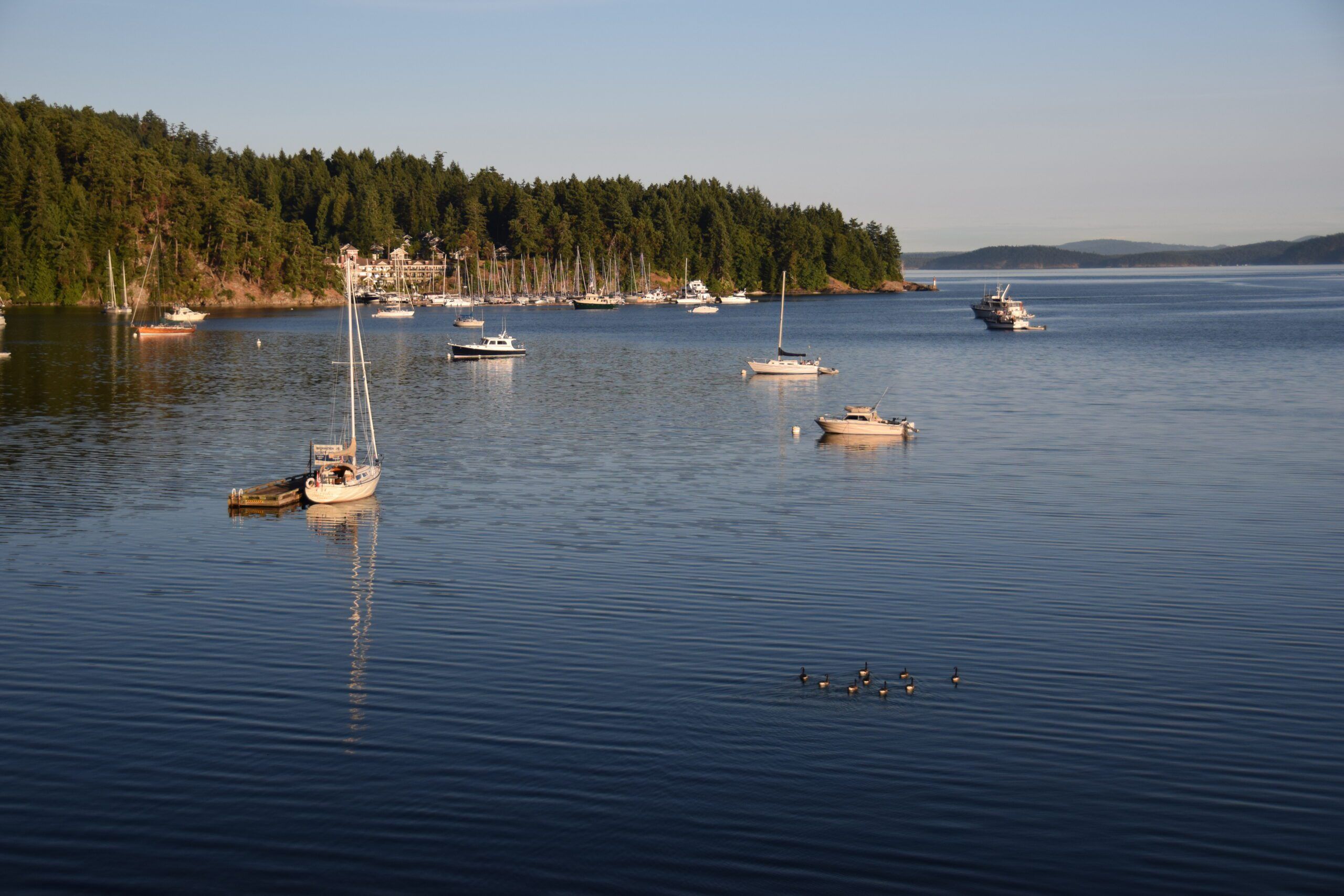 The mooring field, Beaumont Marine Park. (Photo/ Bert Vermeer)