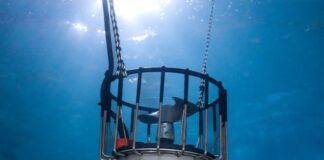 Kasco Marine De-icer's exceptional endurance in industrial environments makes the it our Best Choice. (Photo/ Kasco Marine)