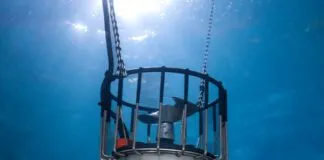 Kasco Marine De-icer's exceptional endurance in industrial environments makes the it our Best Choice. (Photo/ Kasco Marine)