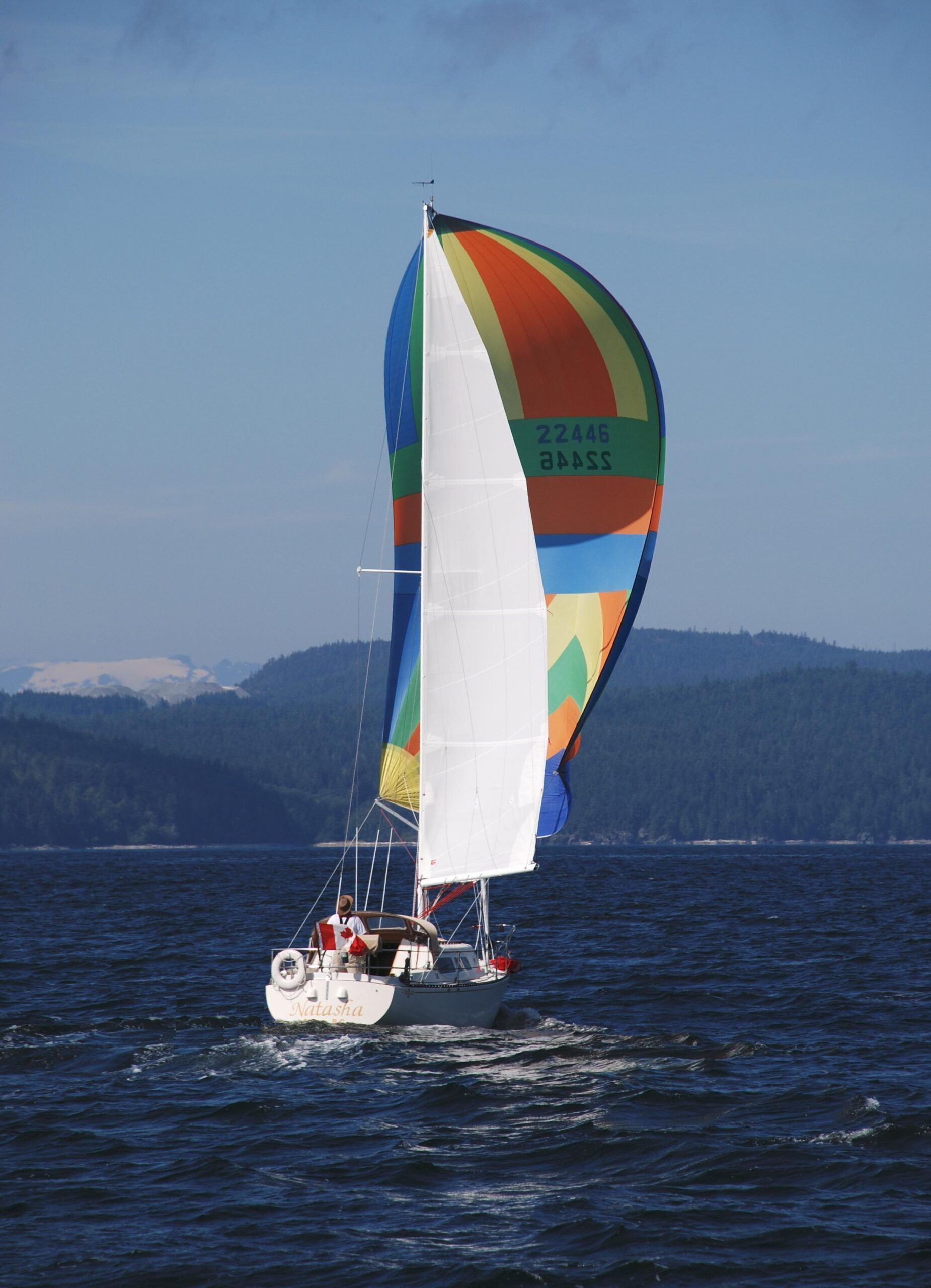 Testing out the spinnaker. Consider yourself lucky that you can't smell the old dog aroma. But it was better than having no downwind sail! (Photo/ Bert Vermeer) 