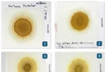 Blotter test patterns reveal engine condition: clean oil shows defined rings, while coolant contamination shrinks the center circle by clogging pores. Fuel dilution may not create obvious visual changes—in some cases, smell is the primary indicator—making successive comparisons essential for spotting subtle shifts in engine health. See more detailed info about these tests at the end of the article. (Photo/ Drew Frye)