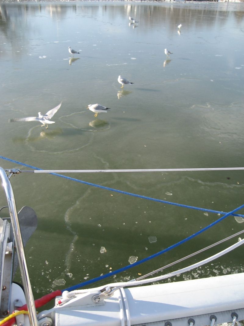 Although I do sail regularly in the winter, I avoid winds above 15 knots and temperatures below 40 F. Below 32 F you also risk ice on the deck, which is no fun at all. A little morning frost is easily removed by sluicing seawater over the deck. (Photo/ Drew Frye)