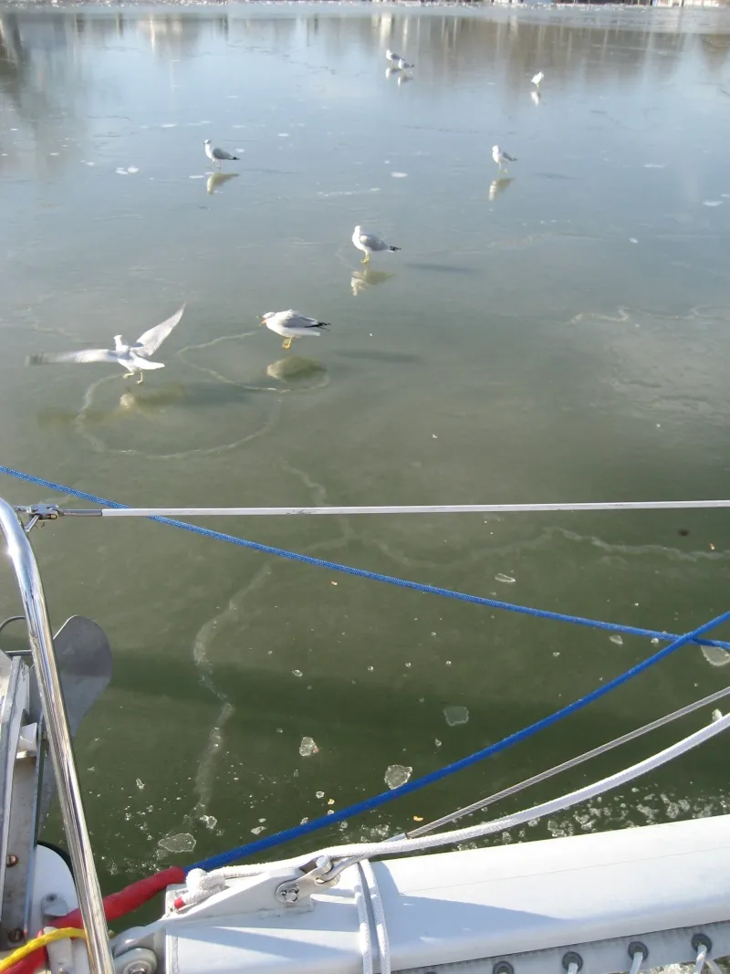 Although I do sail regularly in the winter, I avoid winds above 15 knots and temperatures below 40 F. Below 32 F you also risk ice on the deck, which is no fun at all. A little morning frost is easily removed by sluicing seawater over the deck. (Photo/ Drew Frye)