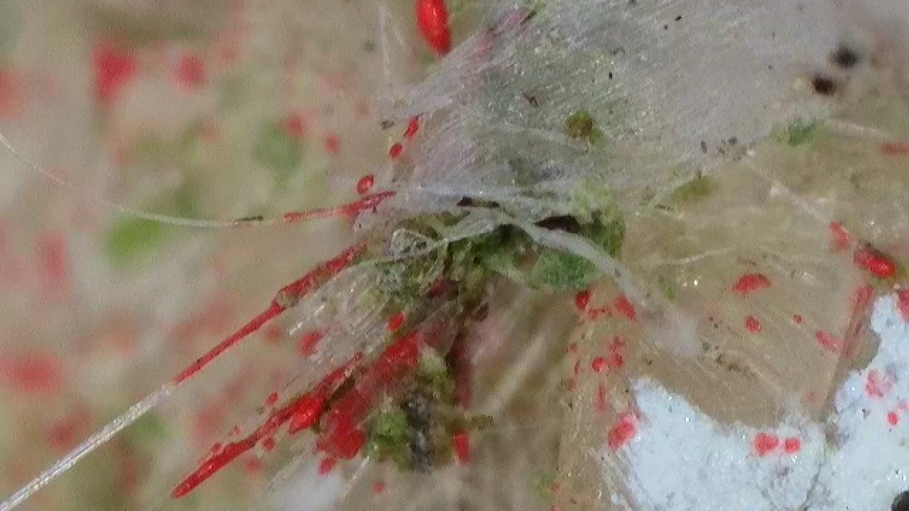 Small hull cracks reveal exposed fiberglass, a serious health threat to humans and marine life. (Photo/ Angie Richard)