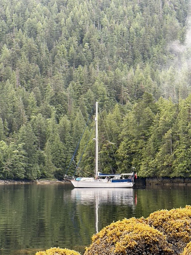 Bob in the wilderness of the Great Bear Rain Forest. (Photo/ Bruce Maunsell)