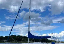 Tartan 31