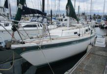 Cal 31