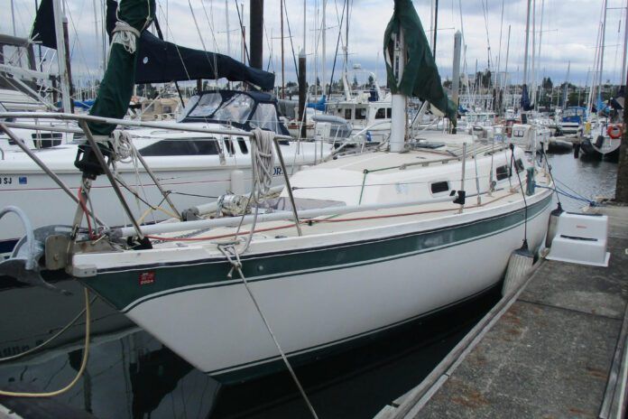Cal 31- profile